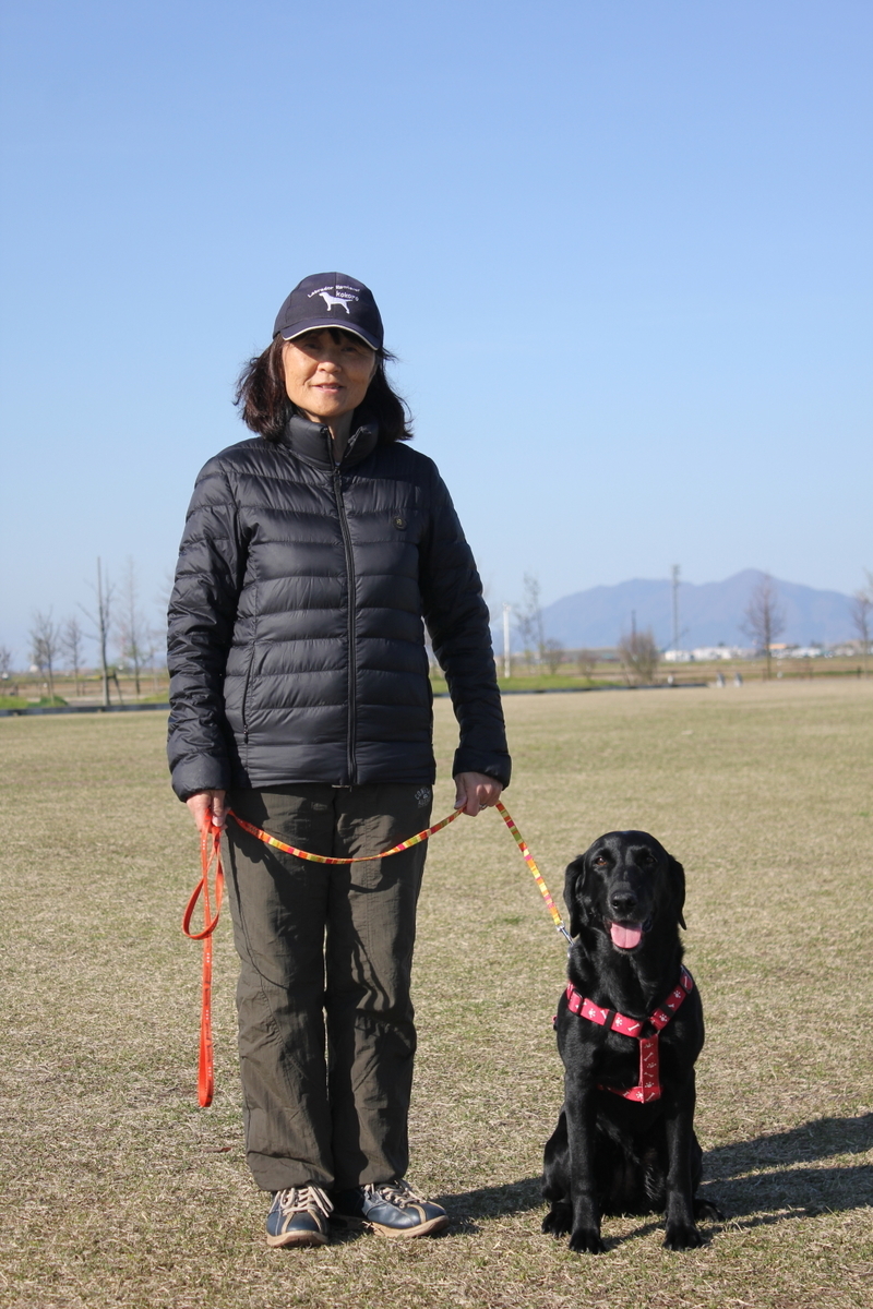f:id:ysj:20190420084046j:plain f:id:ysj:20190420084046j:plain