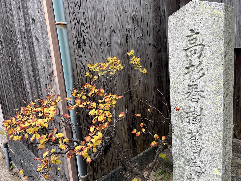 f:id:ysk3:20211023085442j:image f:id:ysk3:20211023085442j:image