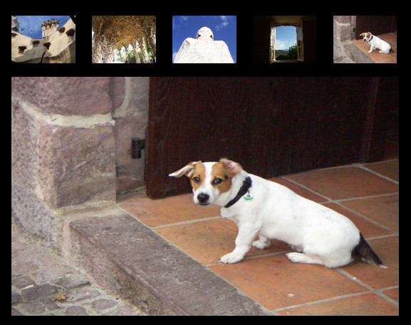 f:id:ysk_garden:20130104110908p:image:w480 f:id:ysk_garden:20130104110908p:image:w480