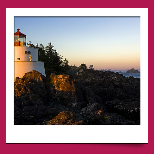 f:id:ysk_garden:20130107195239j:image:w360 f:id:ysk_garden:20130107195239j:image:w360