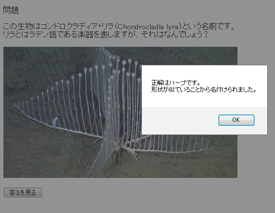 f:id:ysk_garden:20130108094724p:image:w480 f:id:ysk_garden:20130108094724p:image:w480