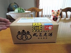 f:id:yskanuma:20200903130247j:plain
