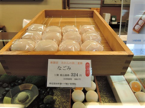 f:id:yskanuma:20201210120255j:plain