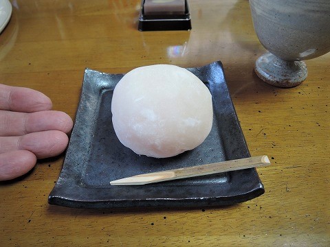 f:id:yskanuma:20201210120706j:plain