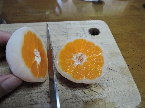 f:id:yskanuma:20201210120945j:plain