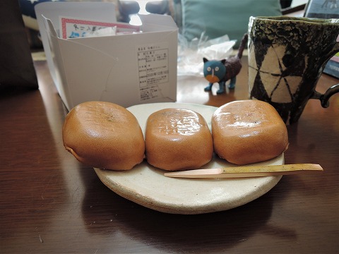 f:id:yskanuma:20201224180846j:plain