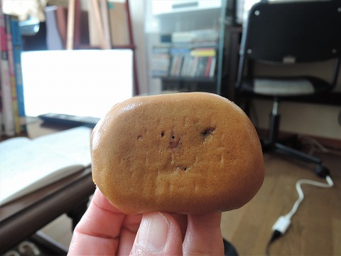 f:id:yskanuma:20201224180947j:plain