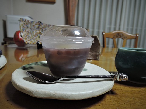 f:id:yskanuma:20201224185334j:plain