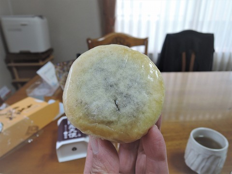 f:id:yskanuma:20201231204145j:plain