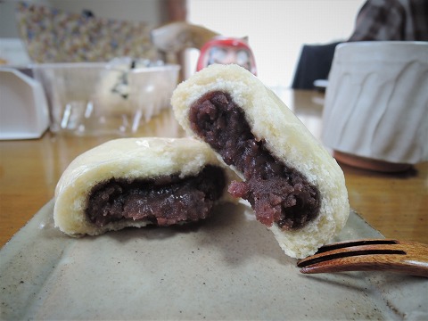 f:id:yskanuma:20201231204213j:plain