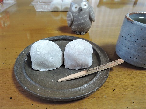 f:id:yskanuma:20210520122151j:plain