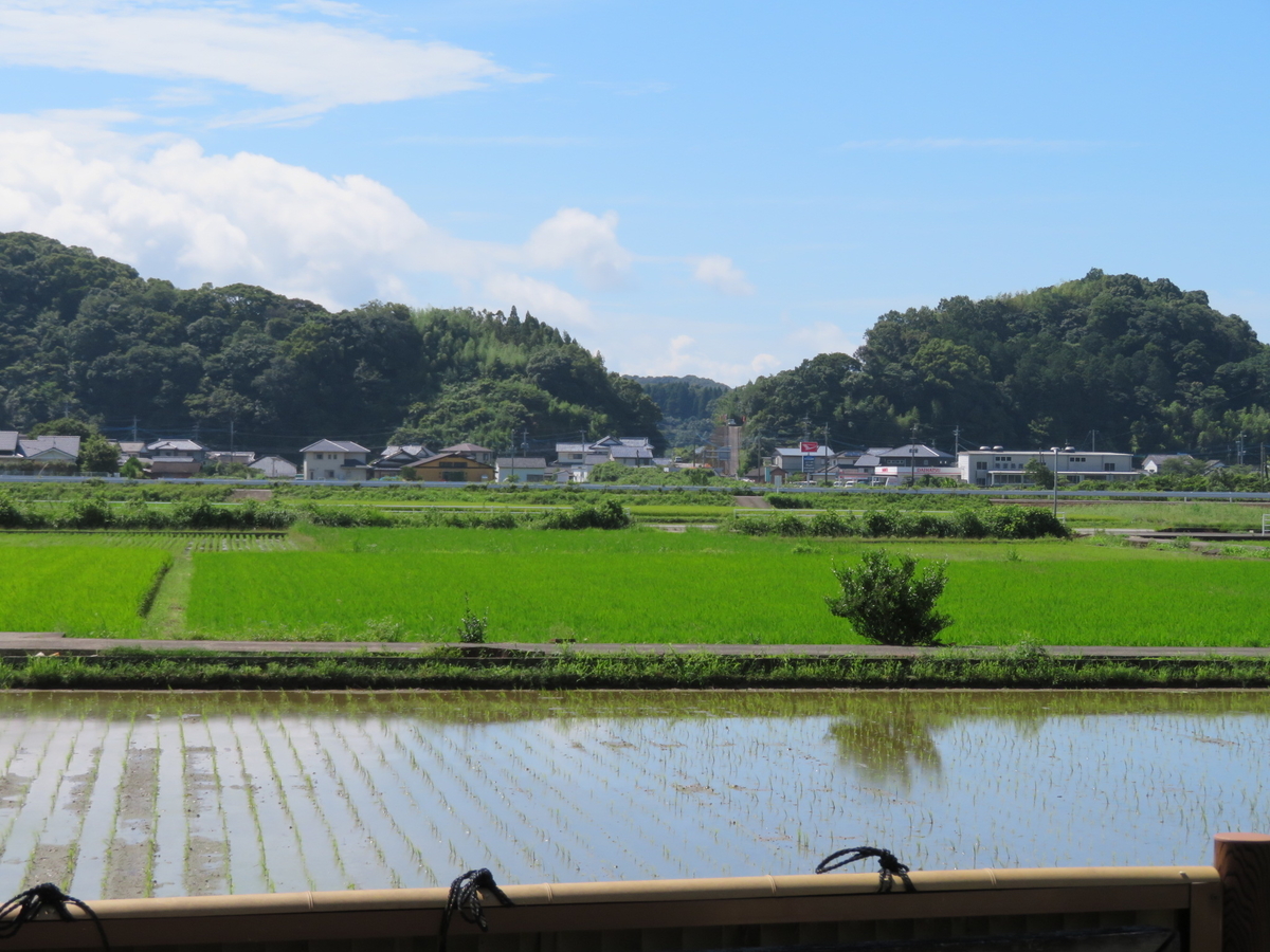 f:id:yskg33:20190821050136j:plain f:id:yskg33:20190821050136j:plain