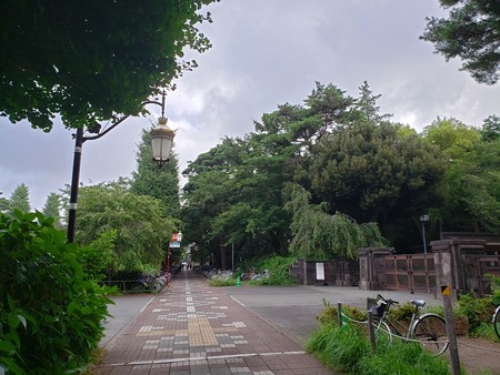 f:id:ysmatsud:20190815182316j:plain