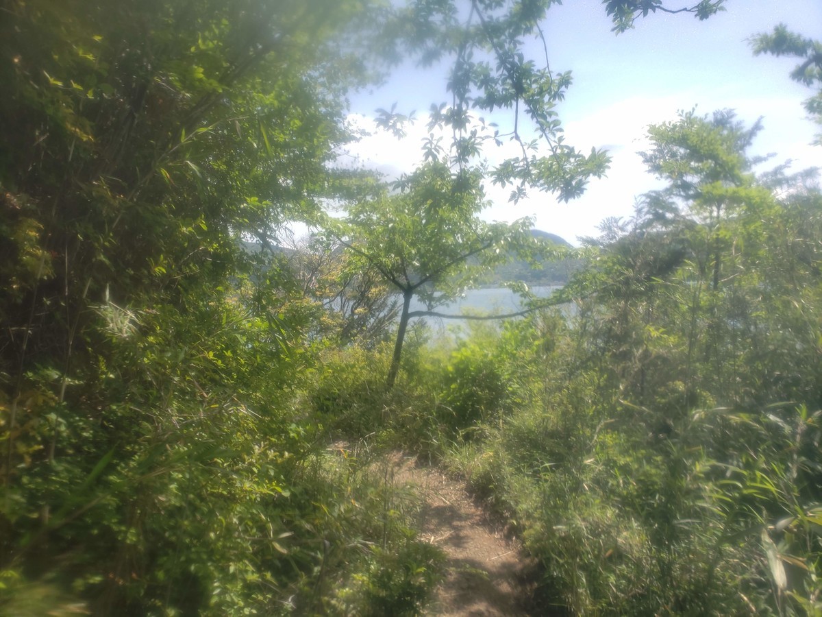 f:id:ysmatsud:20210523083814j:plain