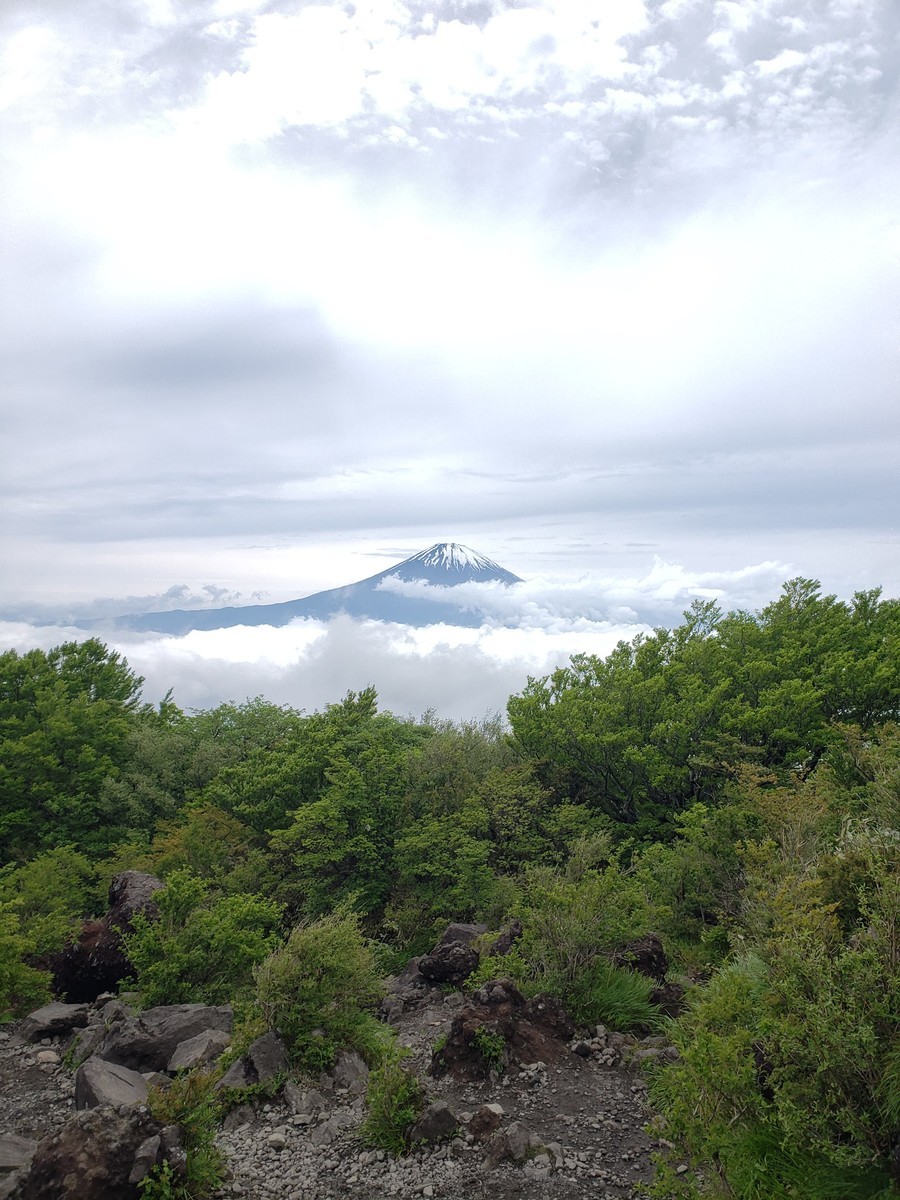 f:id:ysmatsud:20210523104647j:plain