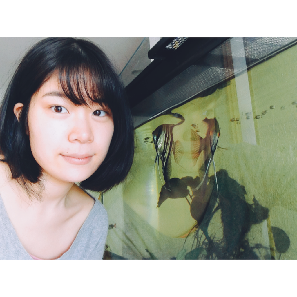 f:id:ysmt30:20160303012844p:image f:id:ysmt30:20160303012844p:image
