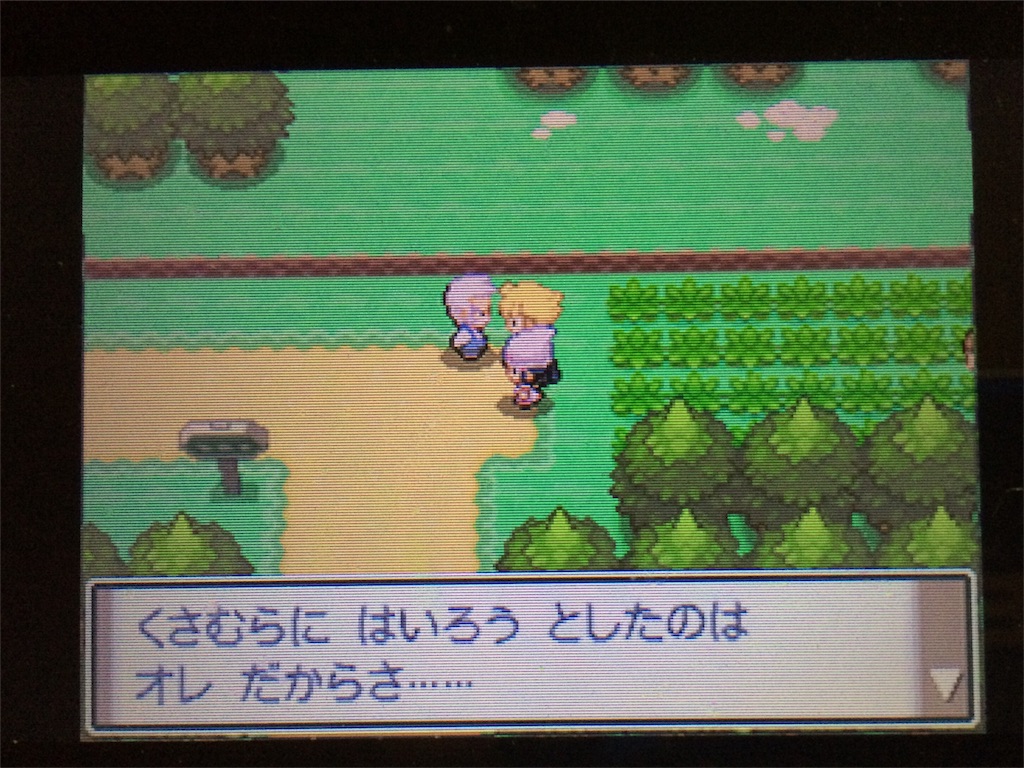 ポケモン