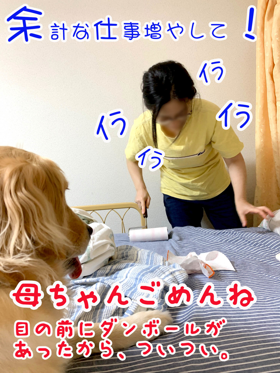 f:id:ysnyn658:20190727112138j:plain