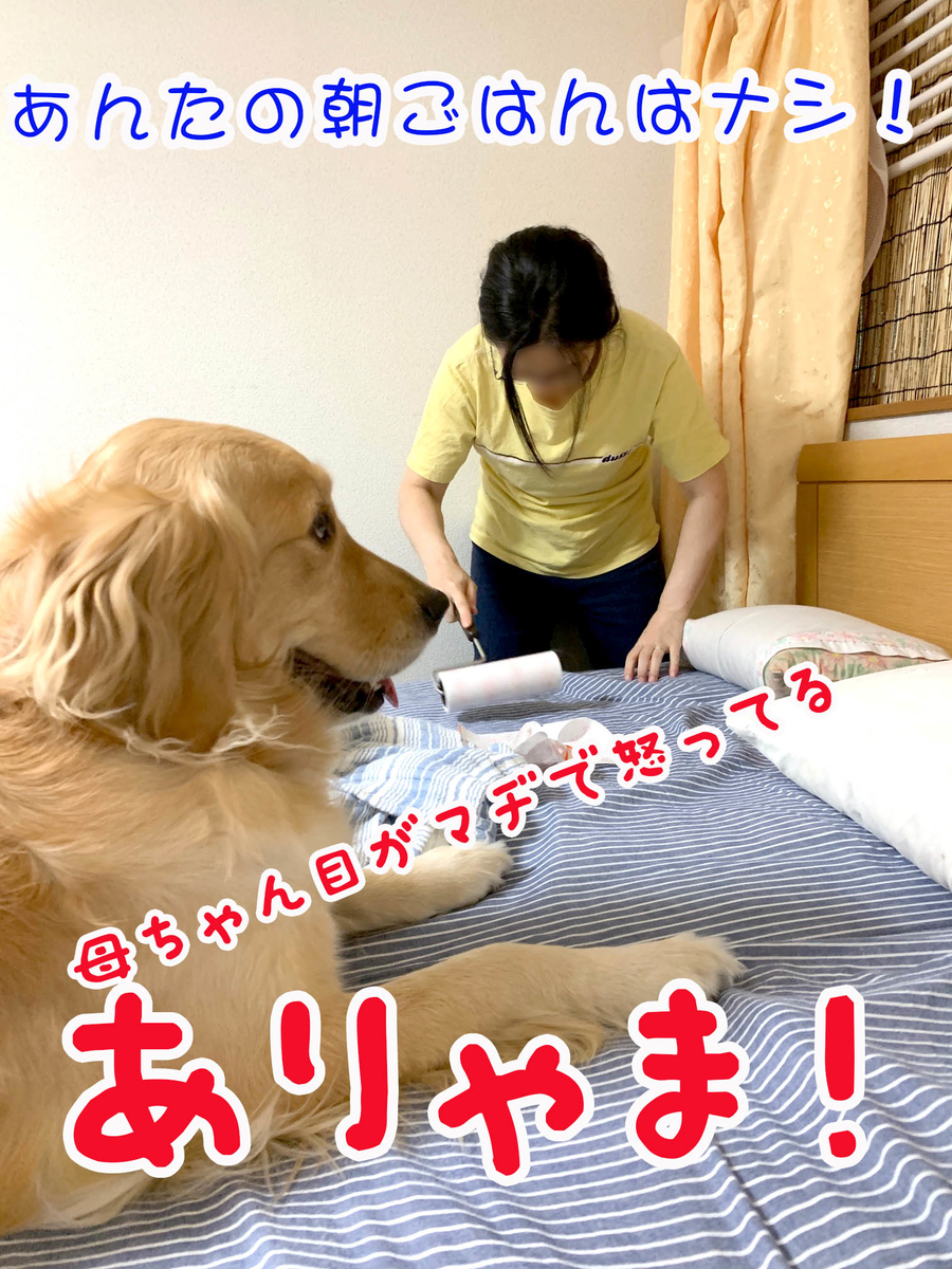 f:id:ysnyn658:20190727112155j:plain