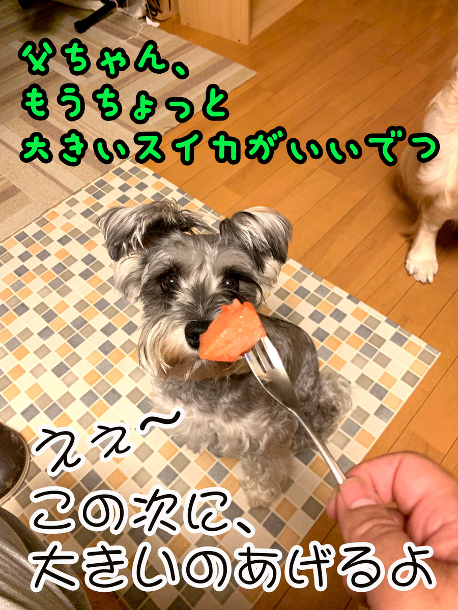 f:id:ysnyn658:20190810212840j:plain