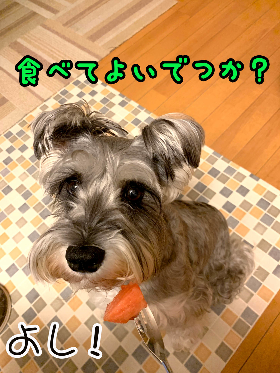 f:id:ysnyn658:20190810212859j:plain