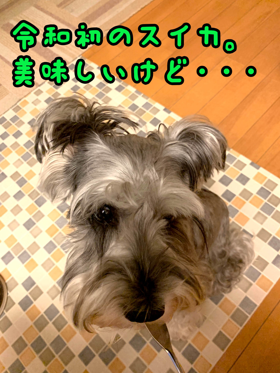 f:id:ysnyn658:20190810212913j:plain