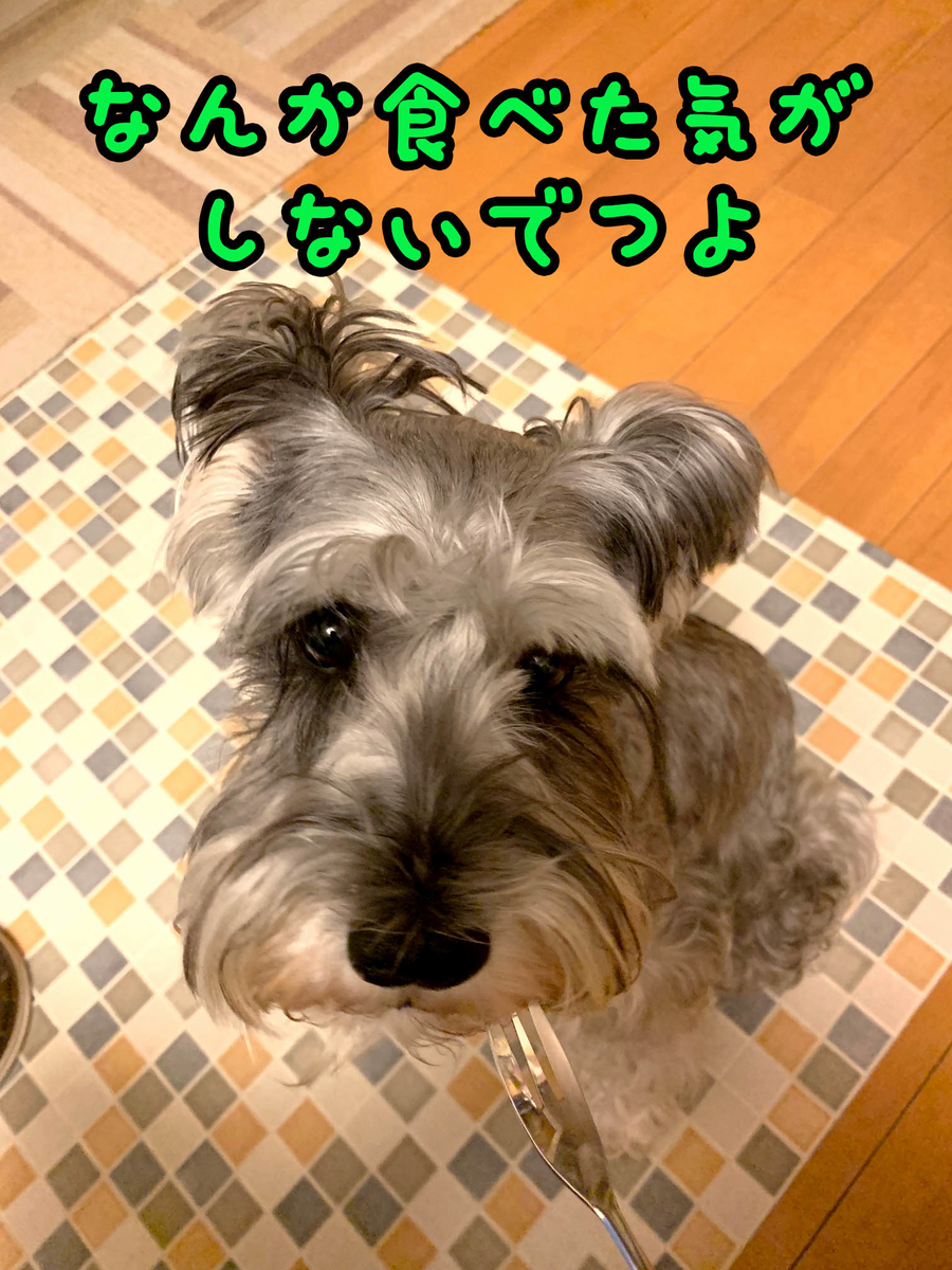 f:id:ysnyn658:20190810212930j:plain