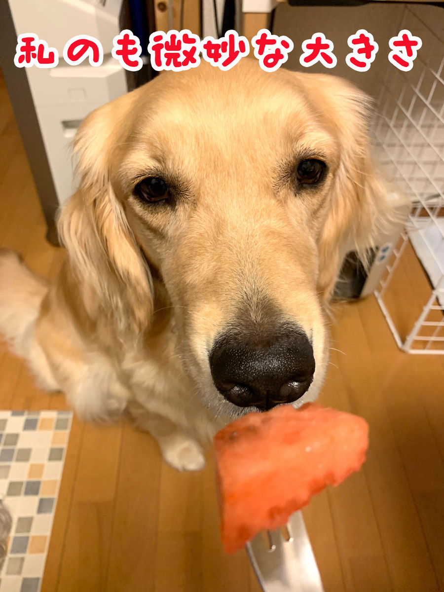 f:id:ysnyn658:20190810212943j:plain