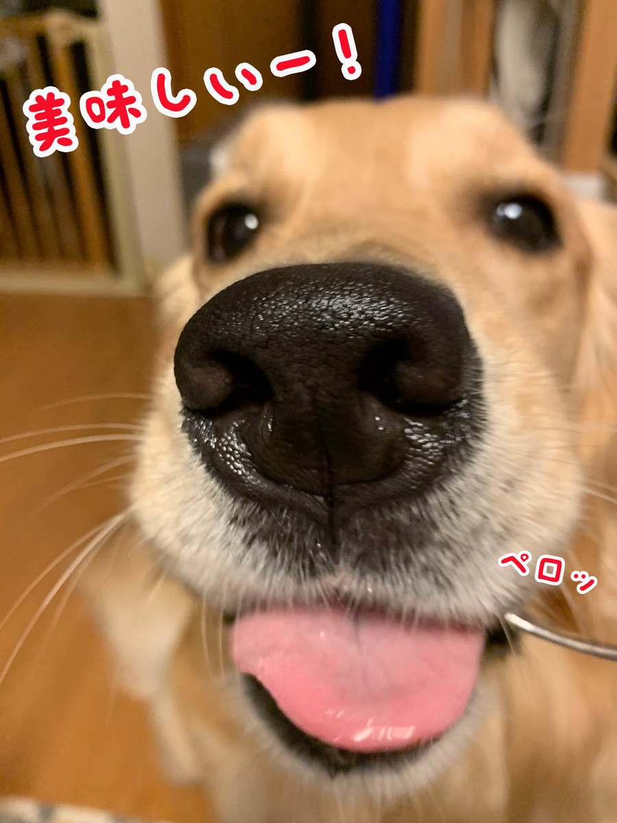 f:id:ysnyn658:20190810213012j:plain