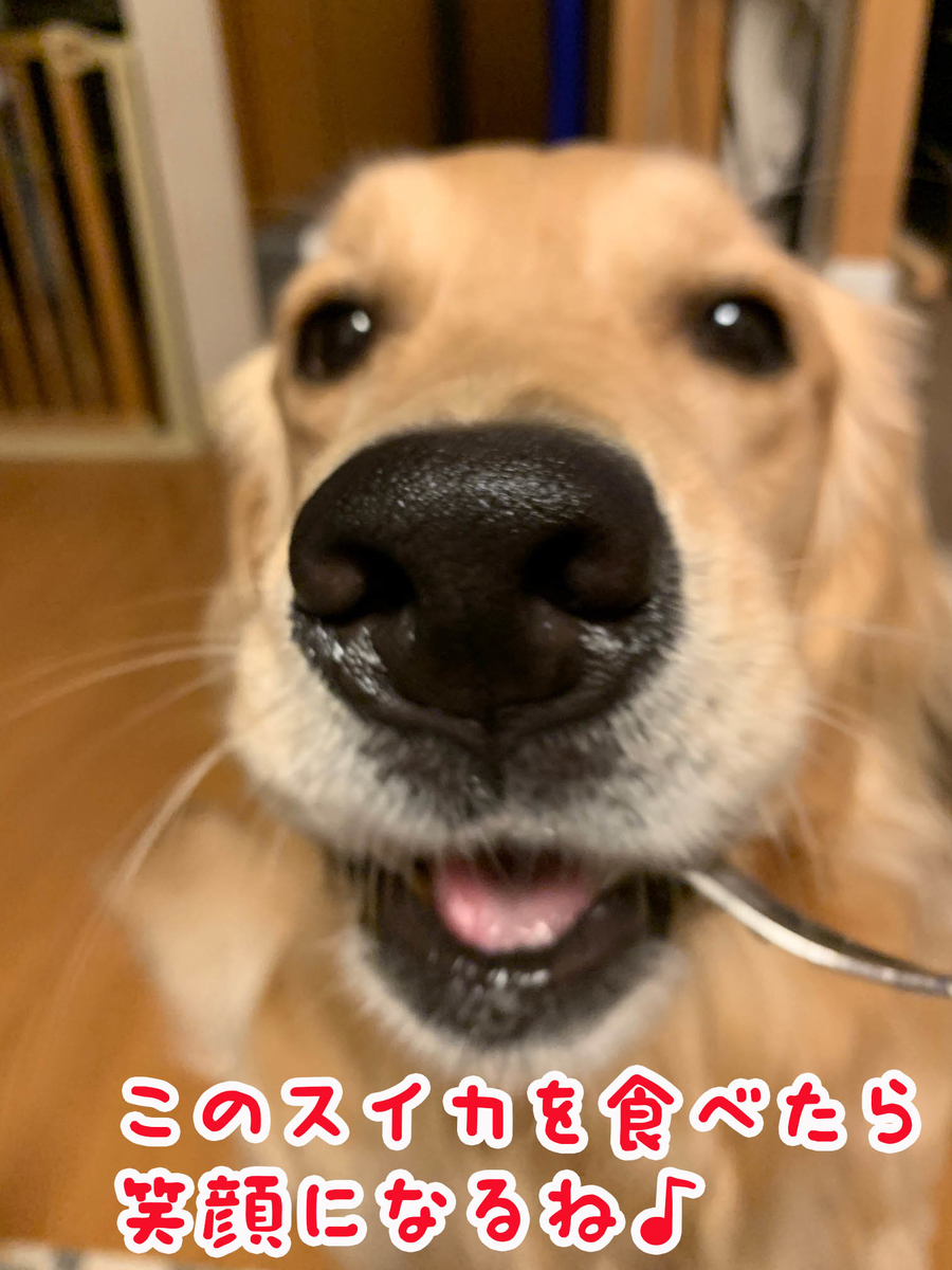 f:id:ysnyn658:20190810213036j:plain