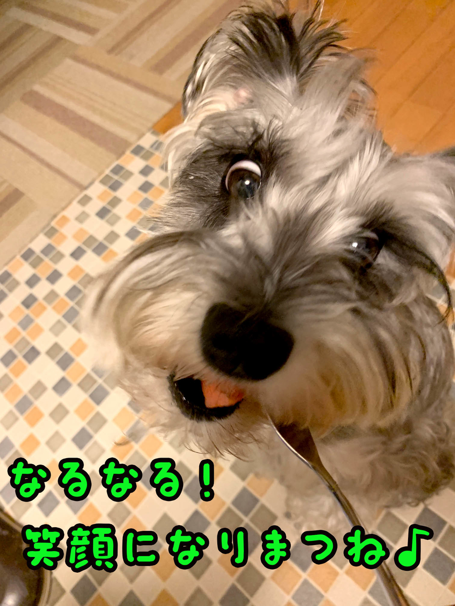 f:id:ysnyn658:20190810213053j:plain