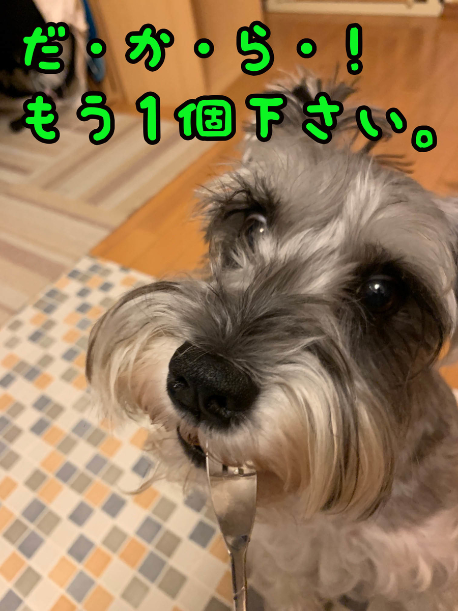 f:id:ysnyn658:20190810213233j:plain