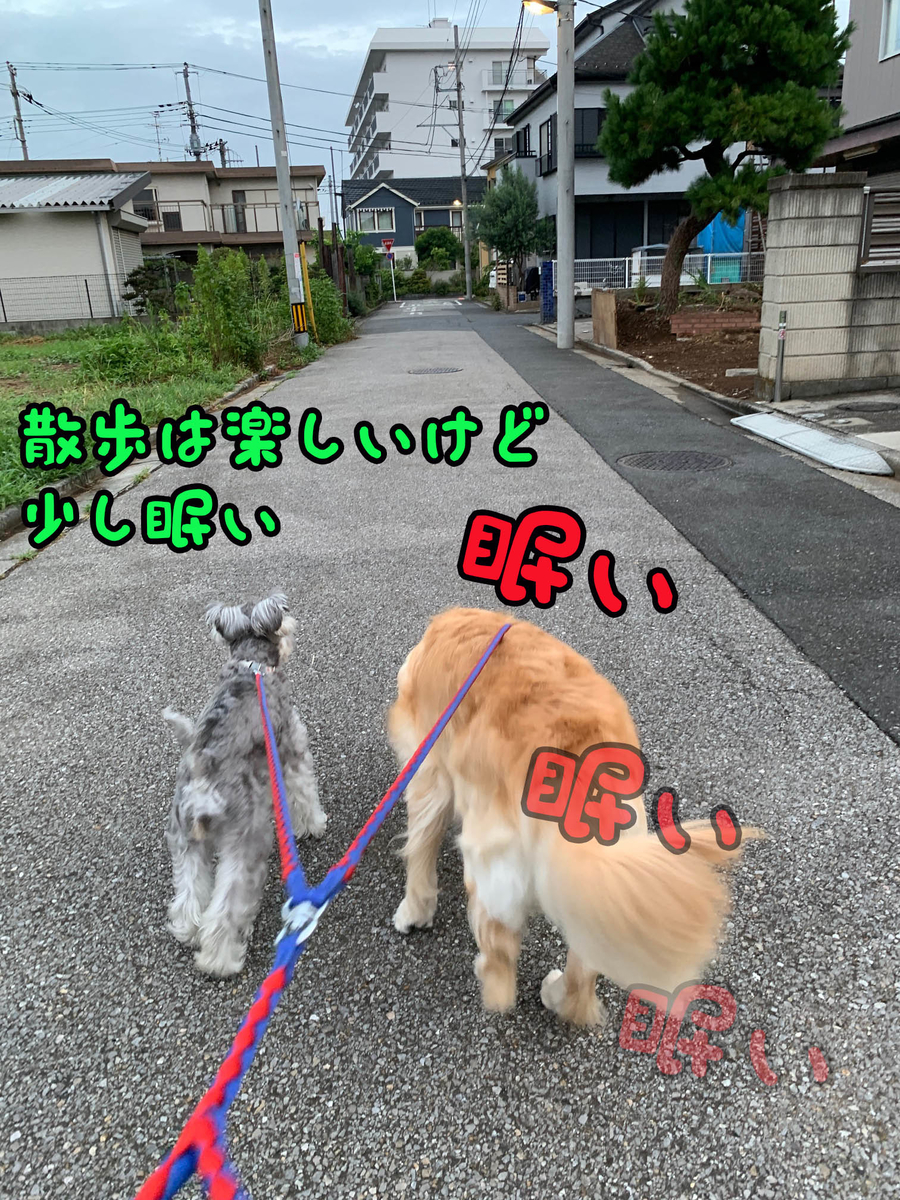 f:id:ysnyn658:20190821185950j:plain