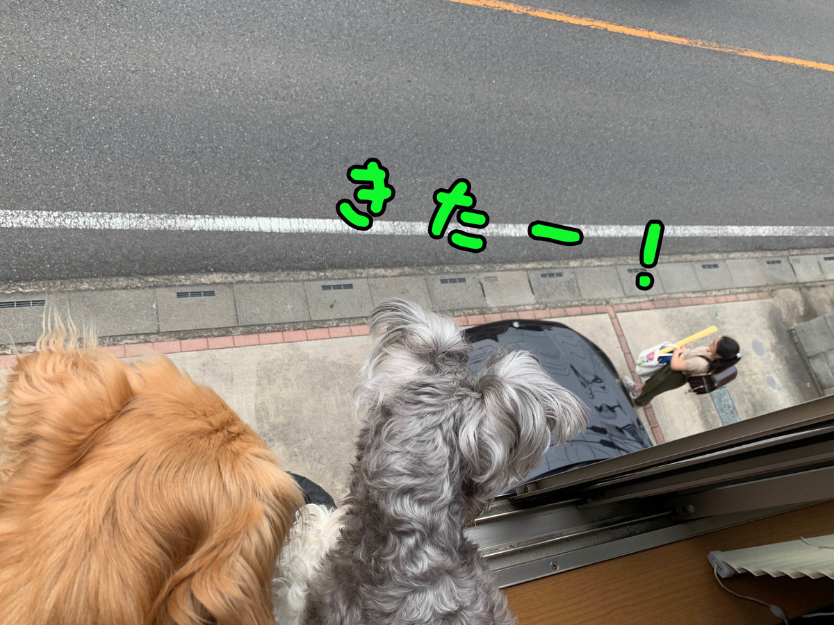 f:id:ysnyn658:20190827130046j:plain