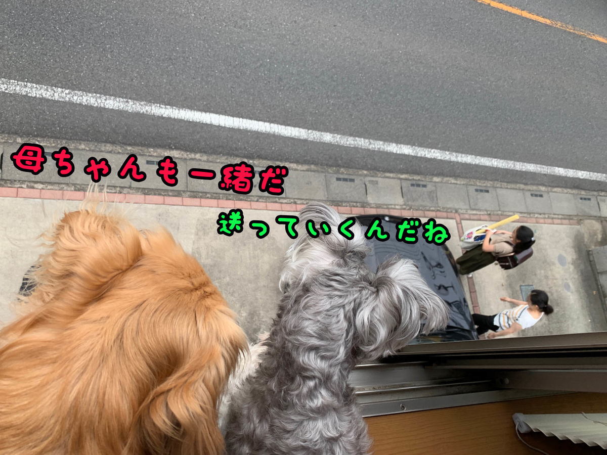 f:id:ysnyn658:20190827130059j:plain
