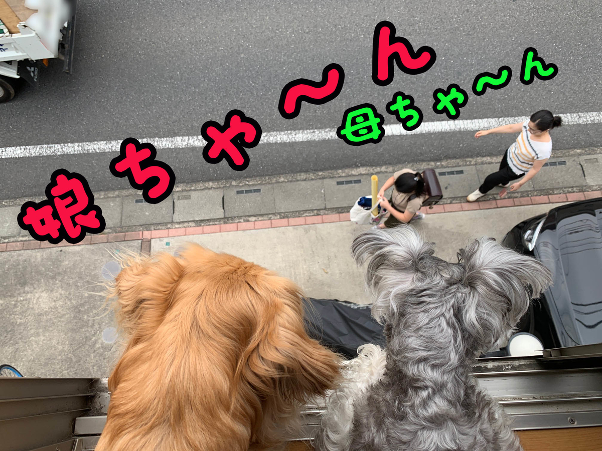 f:id:ysnyn658:20190827130114j:plain