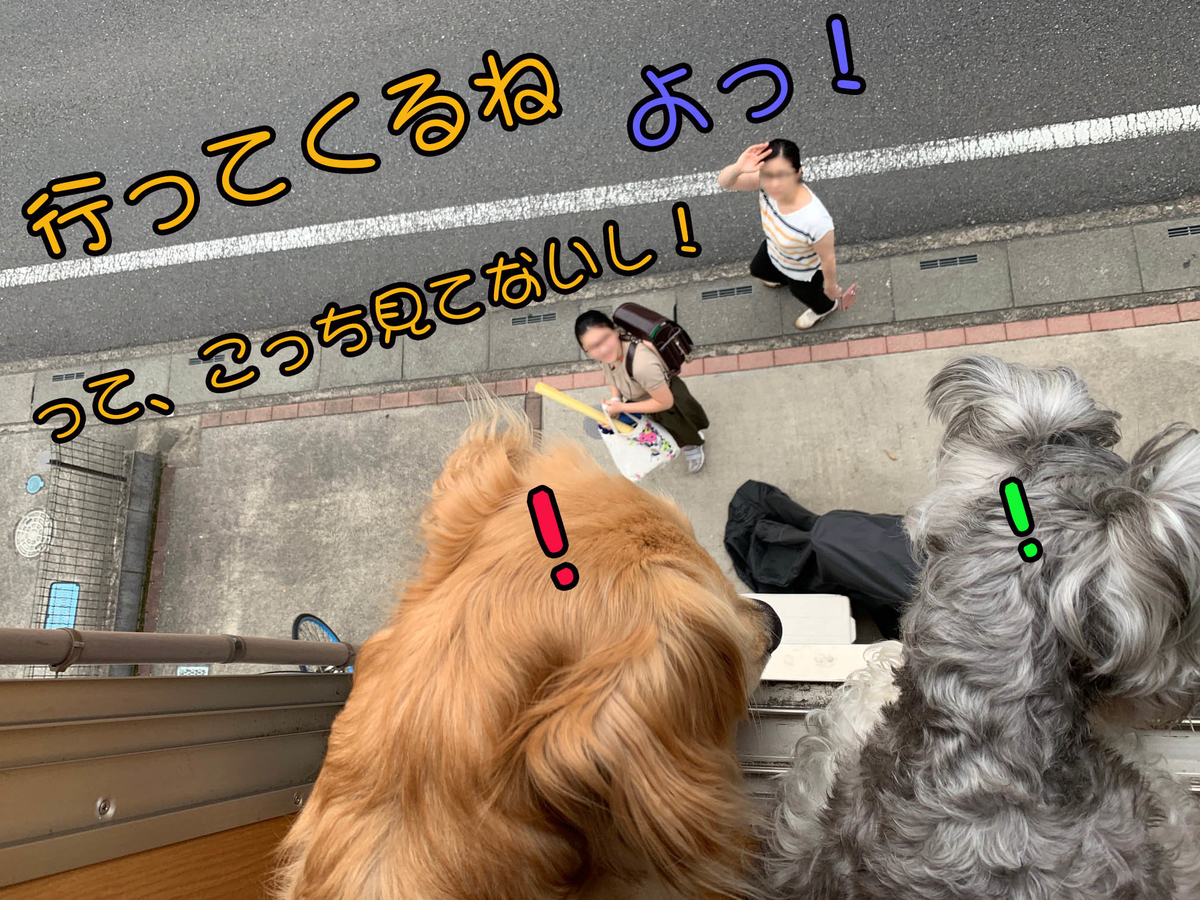 f:id:ysnyn658:20190827130125j:plain