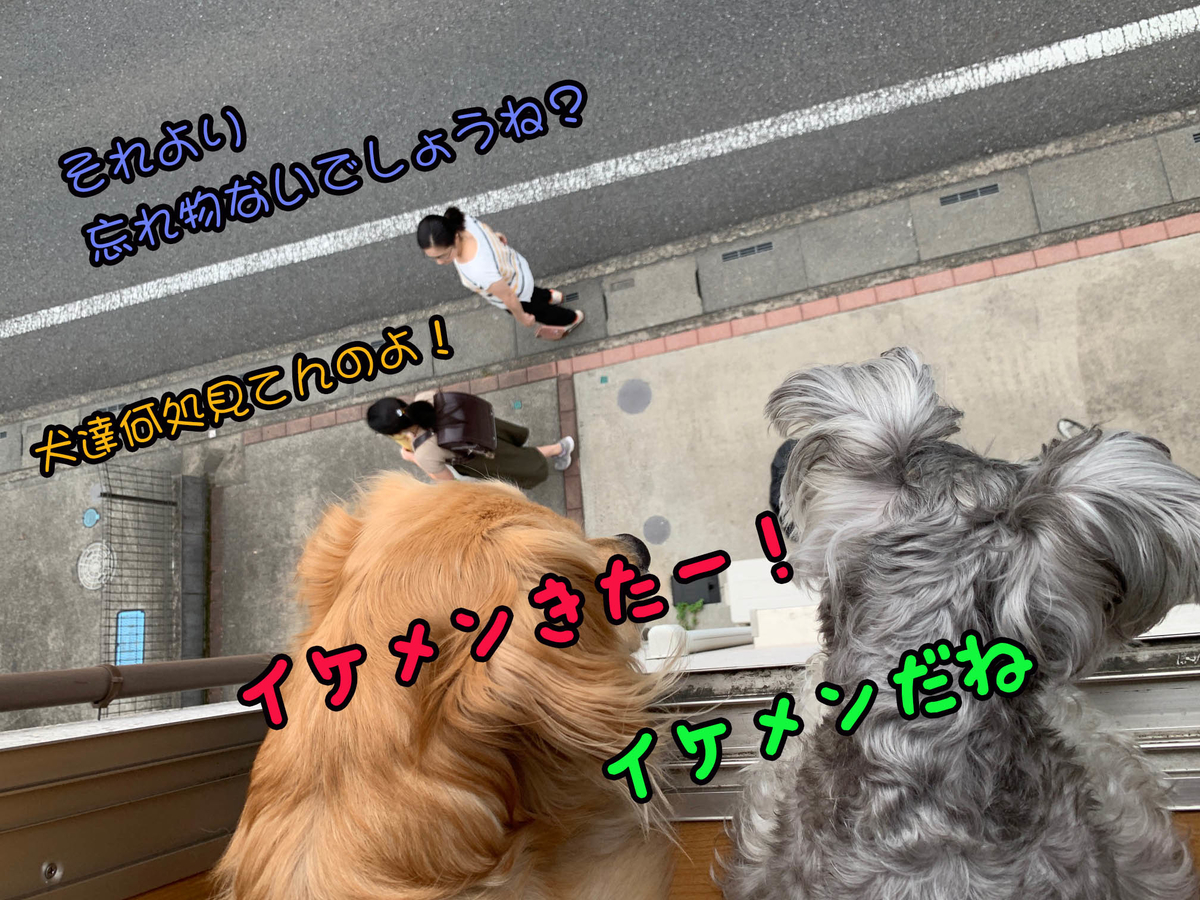 f:id:ysnyn658:20190827130143j:plain