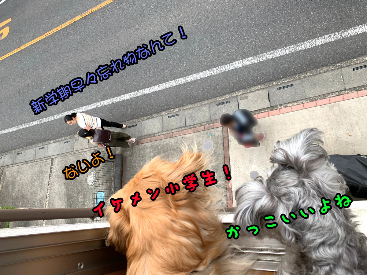 f:id:ysnyn658:20190827130154j:plain