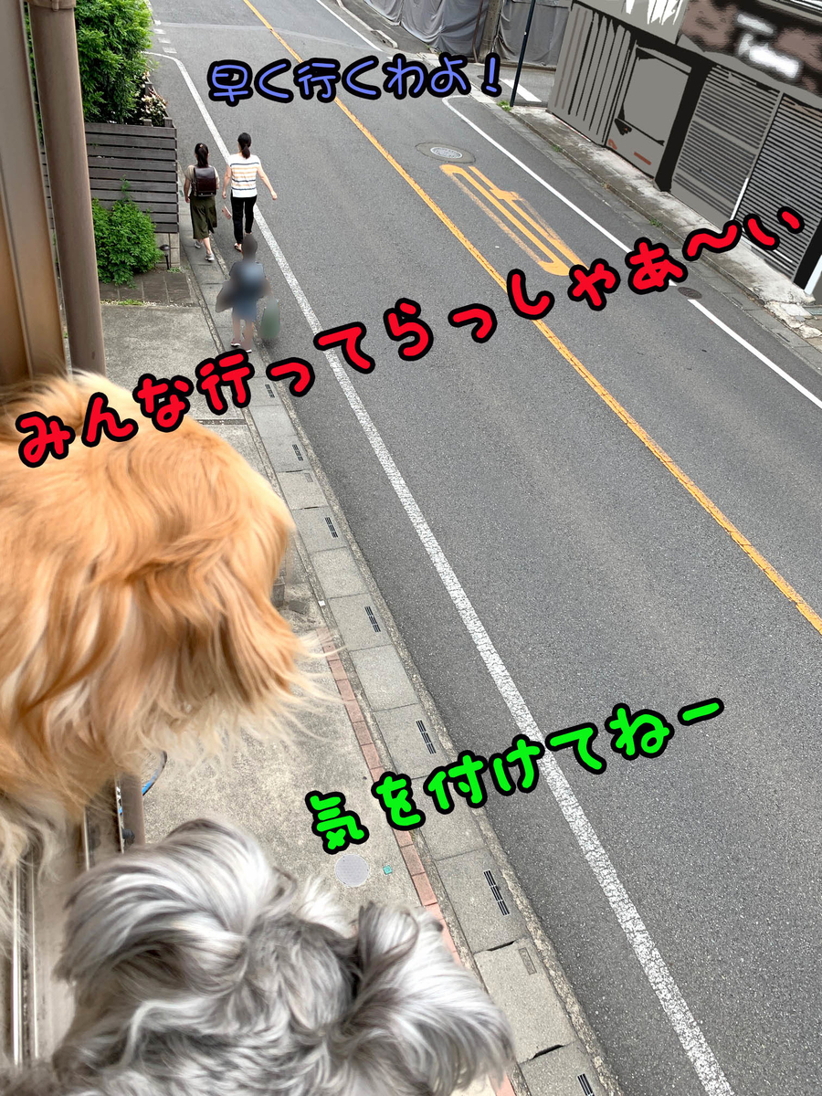 f:id:ysnyn658:20190827130229j:plain