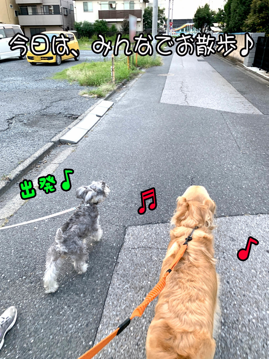 f:id:ysnyn658:20190914065708j:plain f:id:ysnyn658:20190914065708j:plain
