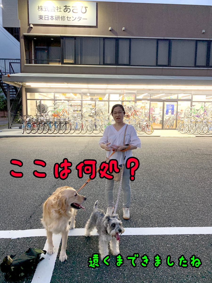 f:id:ysnyn658:20190914065731j:plain f:id:ysnyn658:20190914065731j:plain