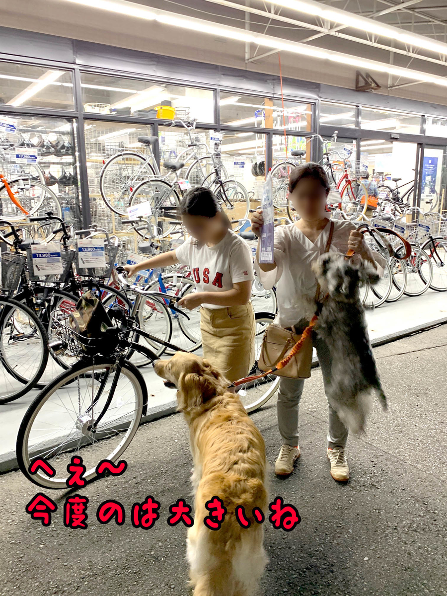 f:id:ysnyn658:20190914065740j:plain f:id:ysnyn658:20190914065740j:plain