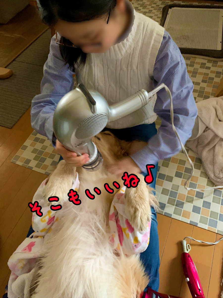f:id:ysnyn658:20200220184551j:plain f:id:ysnyn658:20200220184551j:plain
