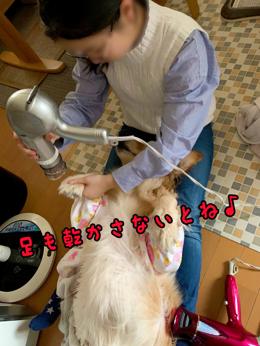 f:id:ysnyn658:20200220184603j:plain f:id:ysnyn658:20200220184603j:plain