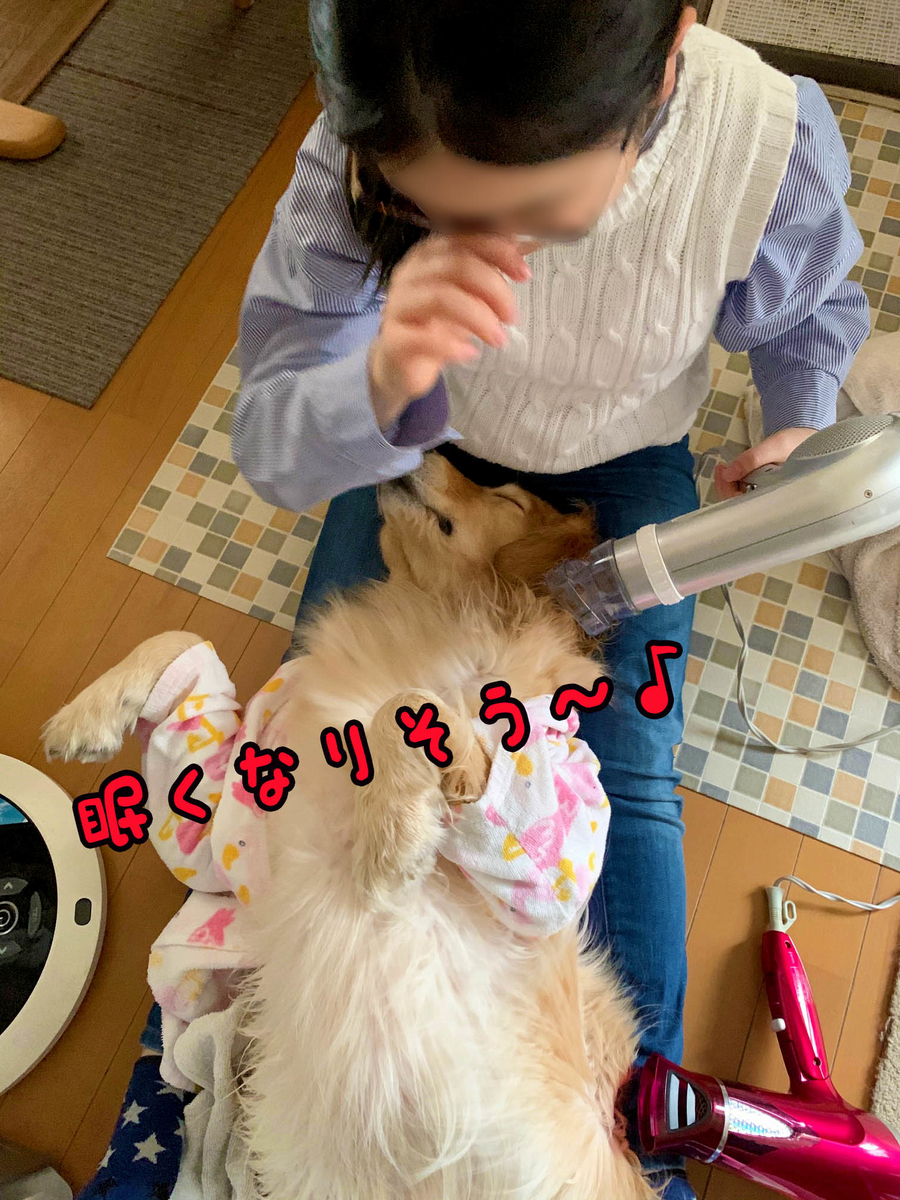 f:id:ysnyn658:20200220184621j:plain f:id:ysnyn658:20200220184621j:plain