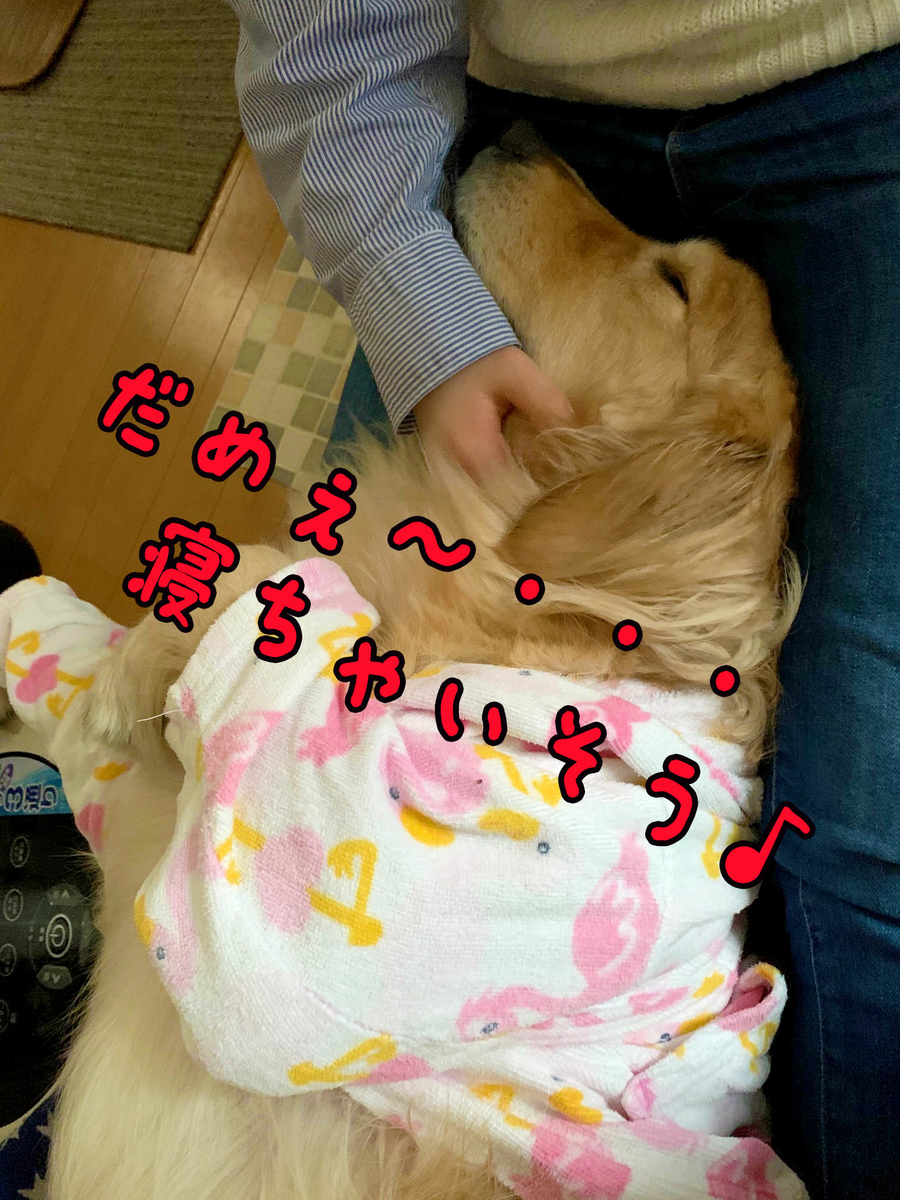 f:id:ysnyn658:20200220184637j:plain f:id:ysnyn658:20200220184637j:plain