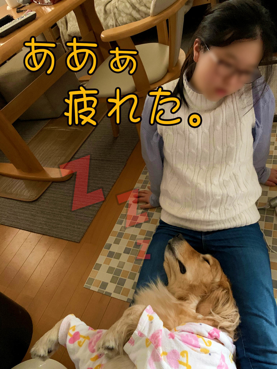 f:id:ysnyn658:20200220184656j:plain f:id:ysnyn658:20200220184656j:plain