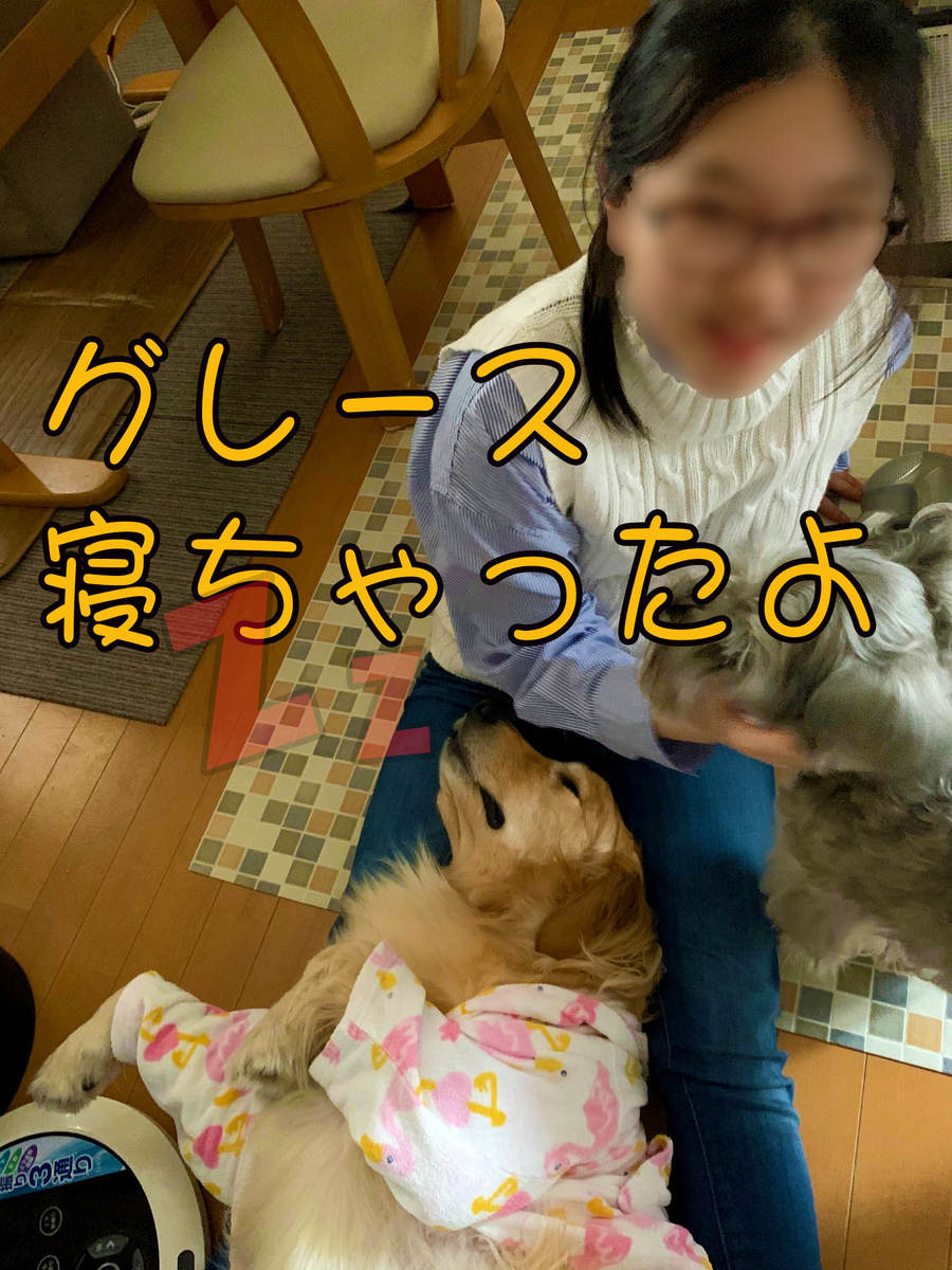 f:id:ysnyn658:20200220184711j:plain f:id:ysnyn658:20200220184711j:plain