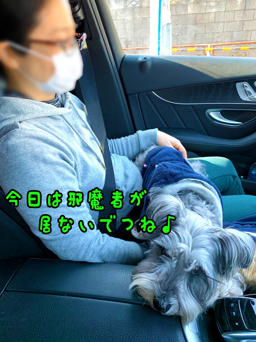 f:id:ysnyn658:20200221192047j:plain f:id:ysnyn658:20200221192047j:plain